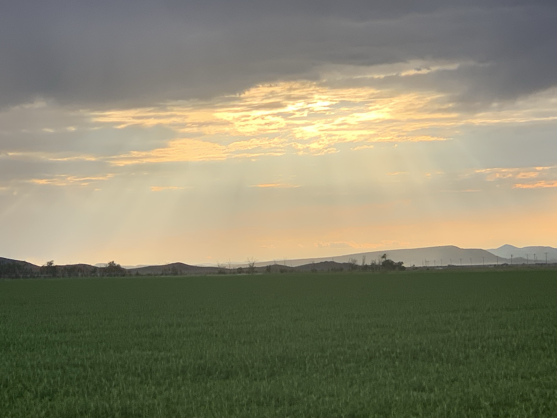 Utah rangeland at golden hour — the land behind Circle 7 Meats